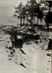 Unterstande und Schützengräben südl.der Bahn bei Kalisz. (BildID 15539173)