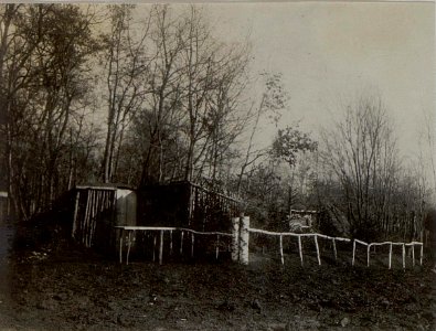 Unterstand des Arztes im Walde Wygoda. (BildID 15451496)