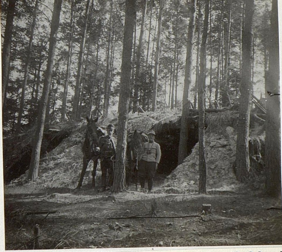 Unterstände für Pferde an der Waldecke westl.Kawivrij (BildID 15725992)