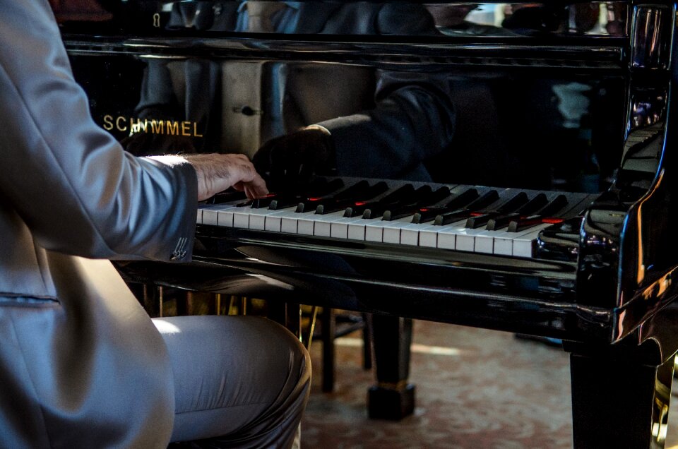 Musical musician pianist