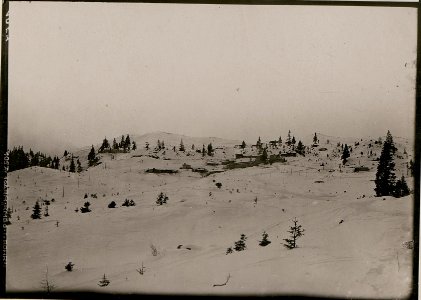 Unterkünfte auf der Straniger Alm. (BildID 15736737)