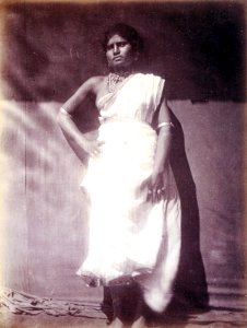 Untitled (Ceylon) 1, by Julia Margaret Cameron