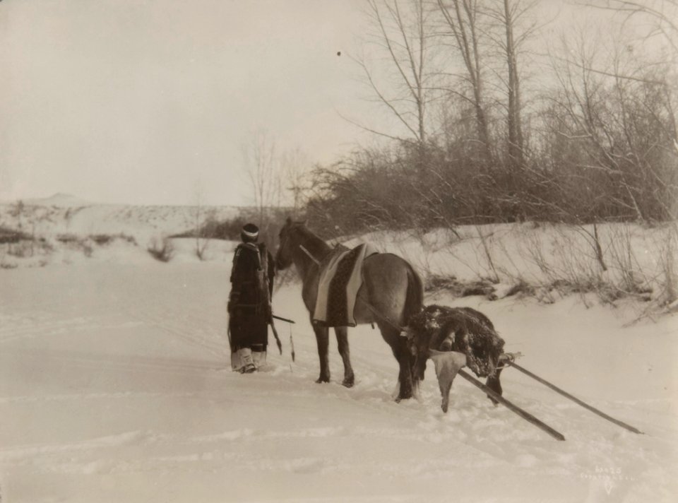 Untitled (Native American with horse pulling travois)