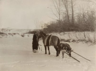 Untitled (Native American with horse pulling travois)