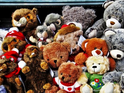Animals charming toys