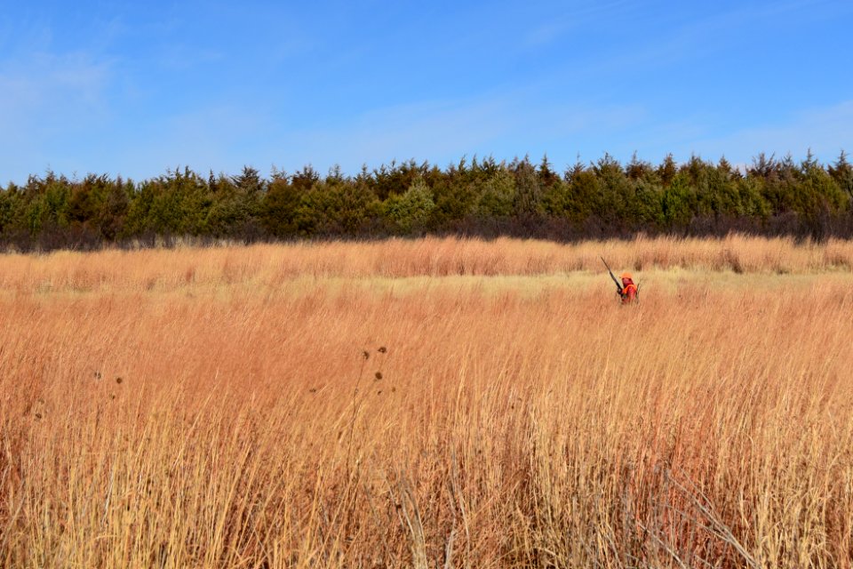 Upland game bird hunting in LaCreek National Wildlife Refuge, South Dakota - 50614627098