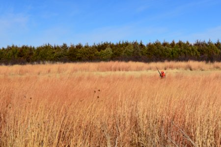 Upland game bird hunting in LaCreek National Wildlife Refuge, South Dakota - 50614627098