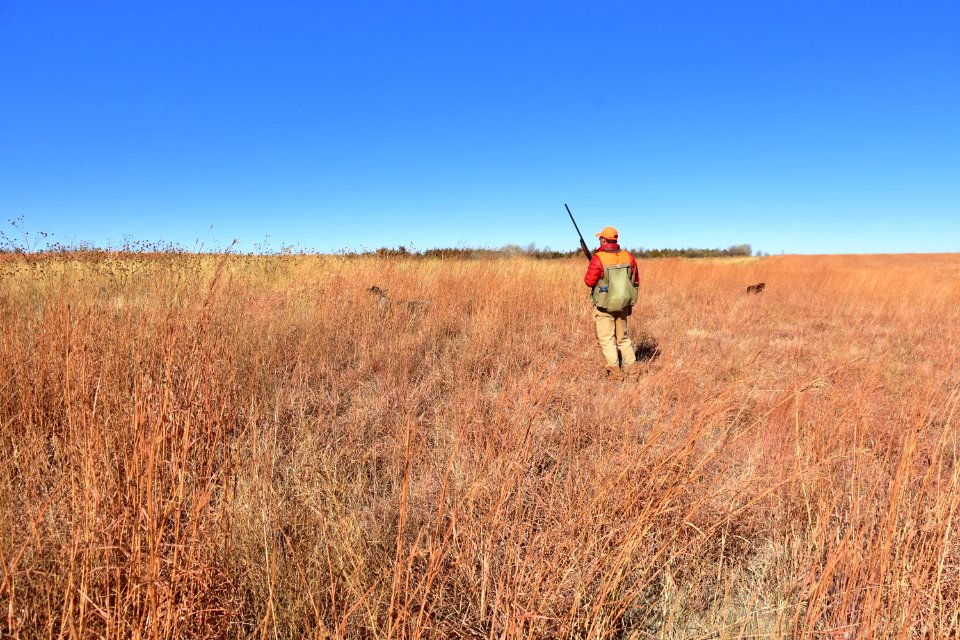 Upland game bird hunting in LaCreek National Wildlife Refuge, South Dakota - 50615507492