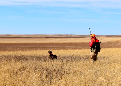 Upland game bird hunting in LaCreek National Wildlife Refuge, South Dakota - 50615454582
