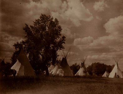 Untitled (Tepees and trees) photo