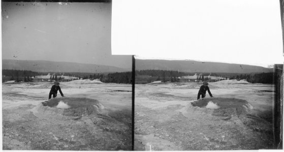 Upper basin. Sponge Geyser. Yellowstone National Park - NARA - 517253