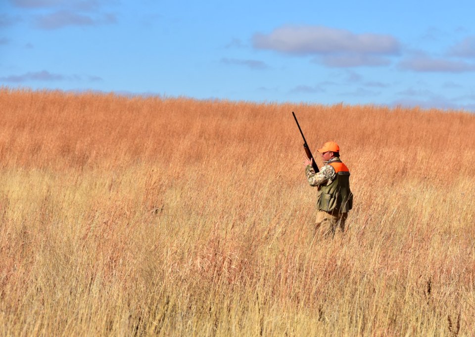 Upland game bird hunting in LaCreek National Wildlife Refuge, South Dakota - 50615405061