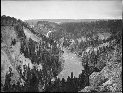 Upper Falls of the Yellowstone and Upper Canyon from near brink of Great Falls. Yellowstone. - NARA - 517652