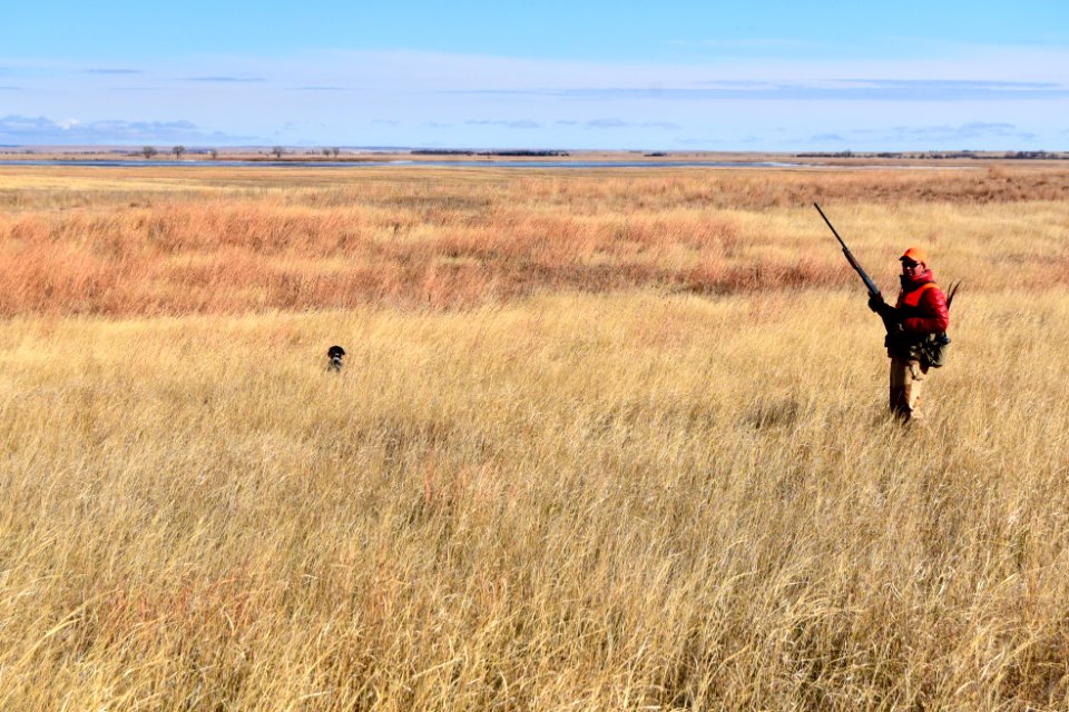 Upland game bird hunting in LaCreek National Wildlife Refuge, South Dakota - 50614620428