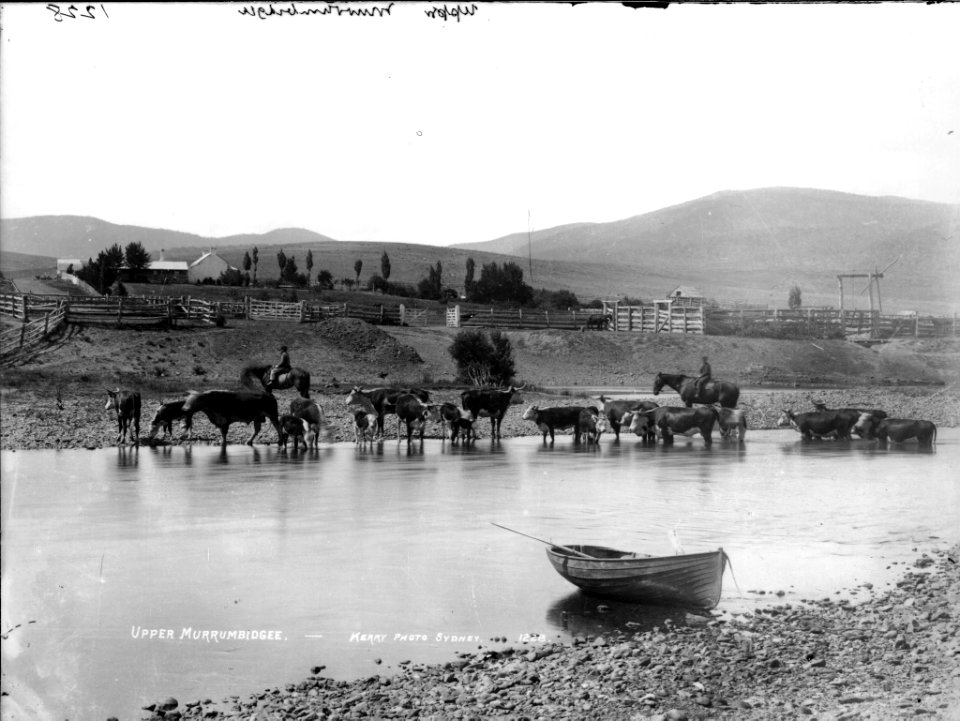 Upper Murrumbidgee from The Powerhouse Museum Collection