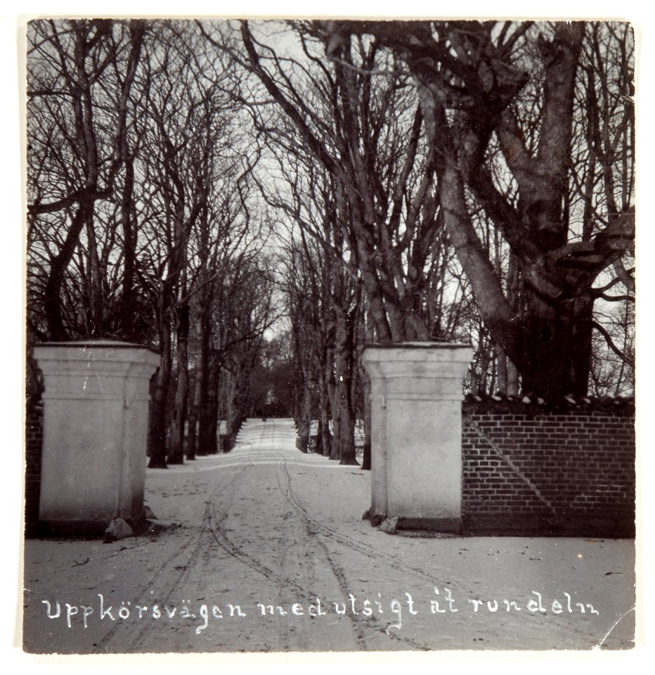 Uppkörsvägen med utsikt åt rundeln, troligen Vegeholm - Hallwylska museet - 108980