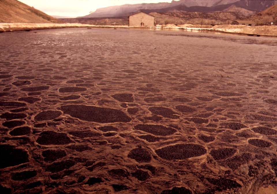 Uranium waste near Rifle, Colorado
