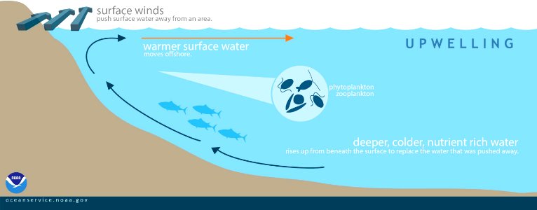Upwelling 2