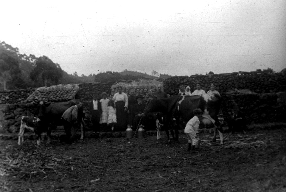Urzelina, ilha de São Jorge, 1910, agricultura, 4, Arquivo de Villa Maria, Angra do Heroísmo, ilha Terceira, Açores