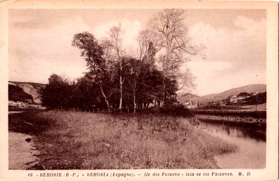 Urrugne (64) - Ile des faisans