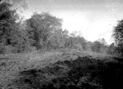 Urskogens utkant. S-te Marie de Marovoay. Madagaskar - SMVK - 021884