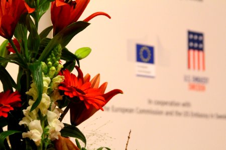 US embassy, Sweden 0633 (27273147932)