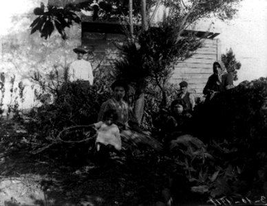 Urzelina, ilha de São Jorge, 1910, agricultura, 3, Arquivo de Villa Maria, Angra do Heroísmo, ilha Terceira, Açores
