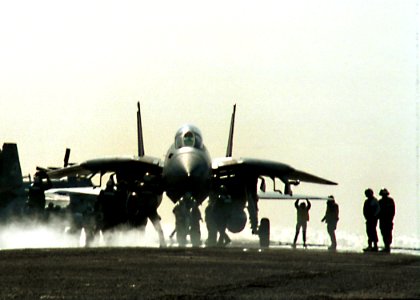 US Navy 011105-N-1407C-005 F-14