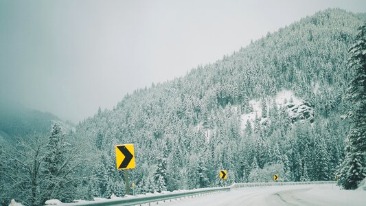 Summit snow trees photo