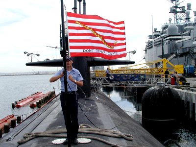 US Navy 020911-N-0000X-001 A Sailor hoists the photo