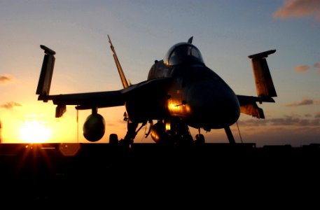 US Navy 021101-N-1810F-012 An F-A-18 of Strike Fighter Squadron One Nine Two (VFA-192) stands secured and tied down