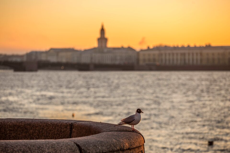 Evening beauty landscape