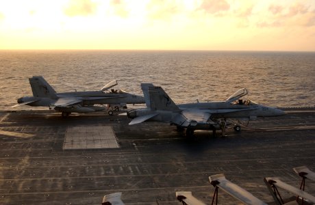 US Navy 030214-N-1810F-006 Two F-A-18C Hornets assigned to the Golden Dragons of Strike Fighter Squadron One Nine Two (VFA-192) sit prepared for a quick launch if necessary