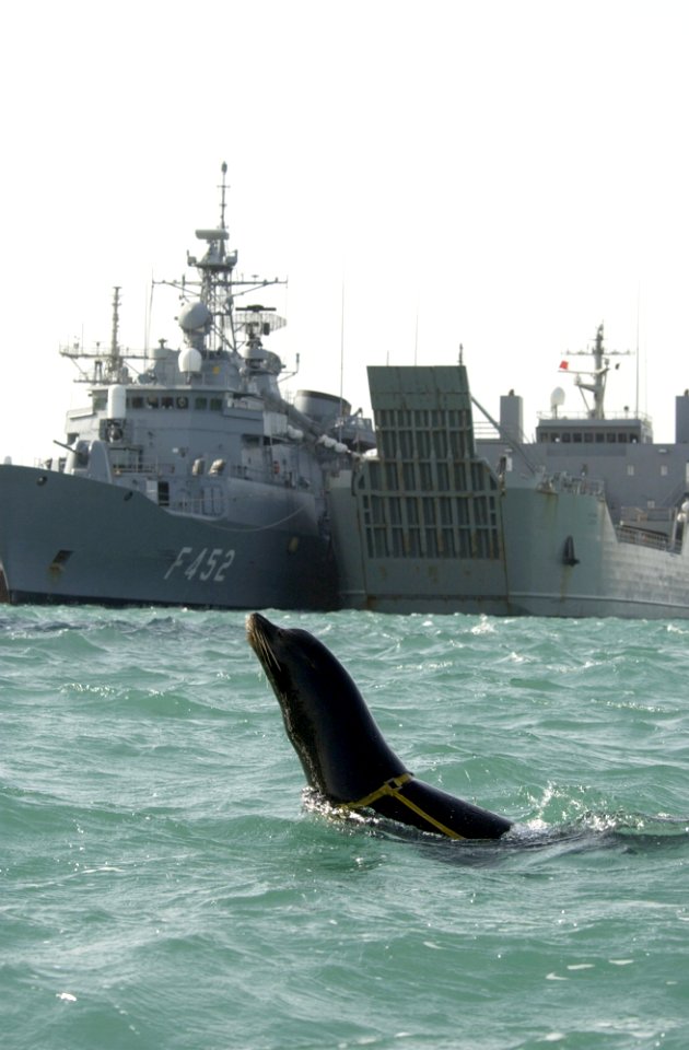 US Navy 030129-N-5319A-003 Shallow Water Intruder Detection System (SWIDS) program