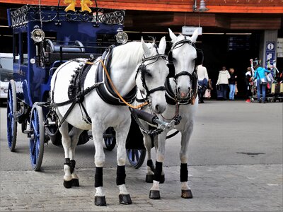 Total portable transport
