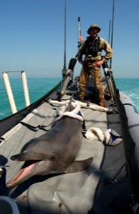 US Navy 030318-N-5319A-004 Staff Sgt. Justin Roberts escorts K-Dog a Bottle Nose Dolphin belonging to Commander Task Unit (CTU) 55.4.3 i