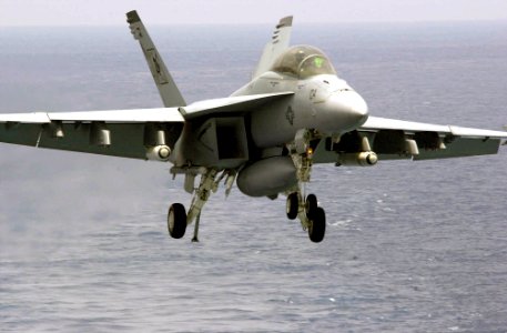 US Navy 030402-N-9319H-005 An F-A-18F Super Hornet assigned to the Black Aces of Strike Fighter Squadron Forty-One (VFA-41)