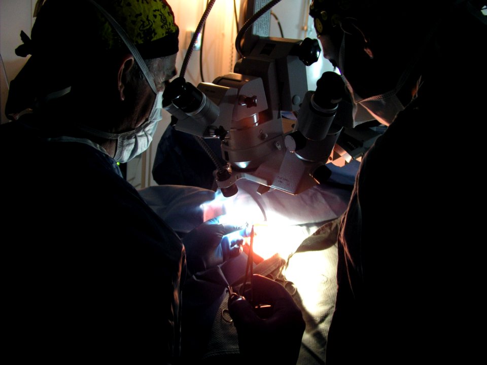 US Navy 030412-N-0728B-003 Navy Capt. Clint Fletcher an Ophthalmologist from Pensacola, Fla. (left) and Hospital Corpsman 3rd Class Bryan Triplet from Manteca, Calif., operate on the eye of an unidentified Iraqi prisoner of war