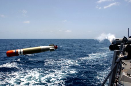 US Navy 030423-N-6141B-004 The guided missile destroyer USS Donald Cook (DDG 75) crewmembers fire a Recoverable Exercise Torpedo towards an Expendable Mobile Anti-Surface Warfare Target