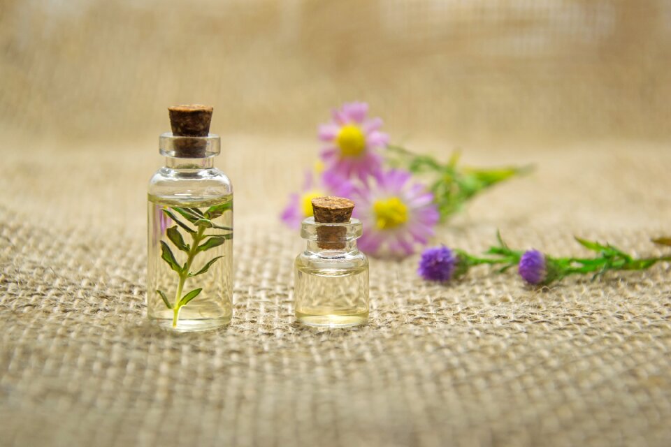 Cosmetology oil cosmetic spa