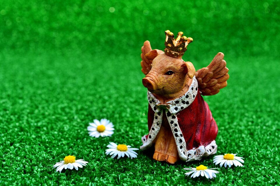 Crown luck lucky pig