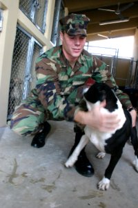 US Navy 031106-N-5821W-004 Photographer's Mate 3rd Class Gunnar Gorder, assigned to Naval Air Station (NAS) Sigonella's Stray Animal Facility socializes with a dog in the shelter