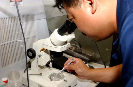 US Navy 031202-N-5821P-008 Electrician's Mate 1st Class Francis Bernabe from Quezon City, Philippines, conducts asbestos checks on materials found aboard USS Kitty Hawk (CV 63)