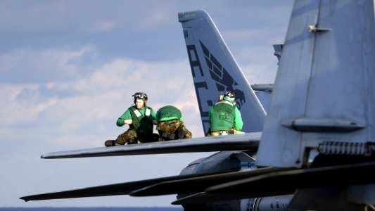US Navy 031213-N-5319A-002 Three Crewmembers assigned to the Pukin' Dogs of Fighter Squadron One Four Three (VF-143) perform maintenance checks on an F-14 Tomcat