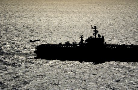 US Navy 040122-N-5319A-006 An F-14 Tomcat assigned to the Pukin Dogs of Fighter Squadron One Four Three (VF-143) prepares to land on the flight deck