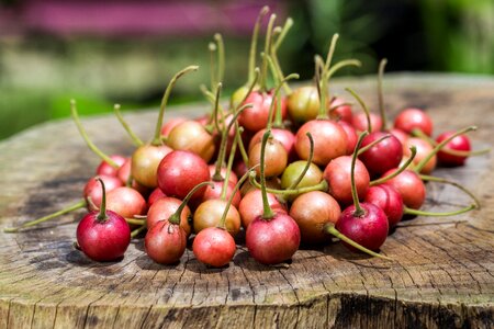 Food berry sweet photo