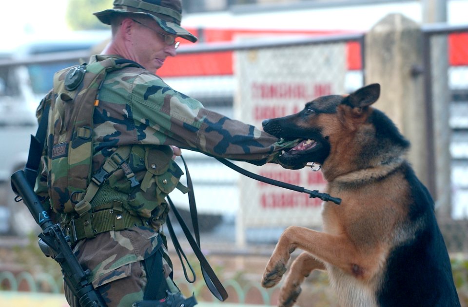US Navy 040226-N-4142G-042 U.S. Marine Corps Sgt. John Bell and his canine partner