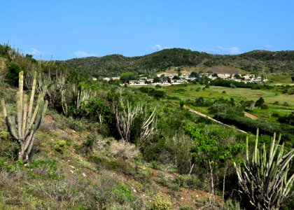 US Navy 110812-N-OH262-231 A view of Caribbean Circle, a family housing neighborhood at Naval Station Guantanamo Bay, Cuba