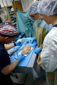 US Navy 040331-N-5821W-001 Hospital Corpsman 2nd Class Damon Denton shows eighth-grade students from Naval Air Station Sigonella's Stephen Decatur School how to perform a suture using a chicken
