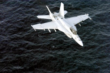 US Navy 040625-N-9769P-513 Capt. Scott Swift, Commander Carrier Air Wing Fourteen (CVW-14) flies an F-A-18E Super Hornet